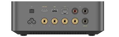 wiim amp back